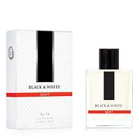 Парфюмерная вода Dilis для мужчин La Vie Black & White, 100мл