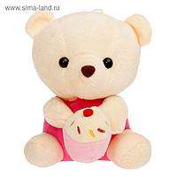 Мягкая игрушка "Медведь с тортом", цвет МИКС, 16 см