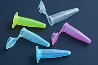 Латекс порно фетиш