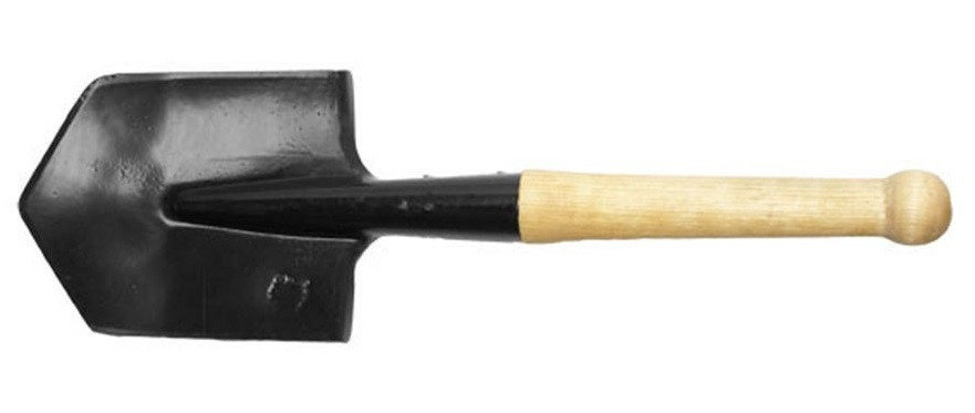 Мысықта шүберек бар