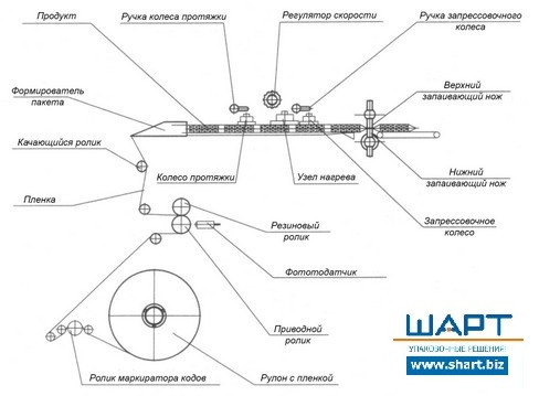 Горизонтальная упаковочная машина с нижней подачей пленки - фото 2 - id-p63041737