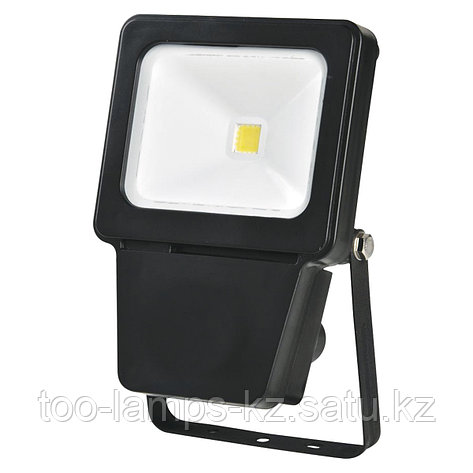 Светодиодный прожектор LED COB 10W BLACK 6000K, фото 2