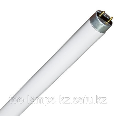 Линейная лампа T8 / F36W / 33 Warm WH, фото 2