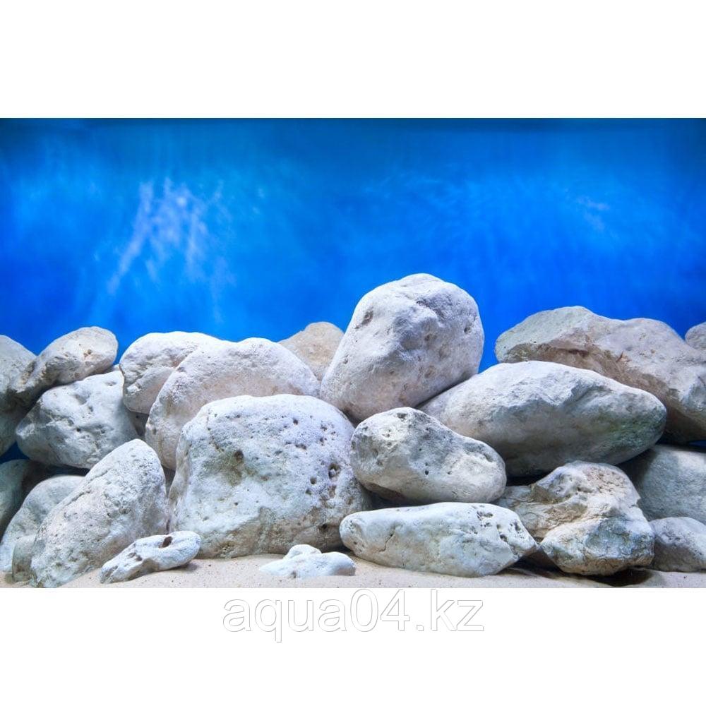 Фон Для Аквариума Купить Недорого