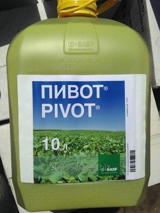 Гербицид Пивот. Универсальный гербицид для уничтожения широкого спектра однолетних и многолетних злаковых., фото 2