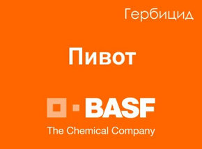 Гербицид Пивот. Универсальный гербицид для уничтожения широкого спектра однолетних и многолетних злаковых., фото 2