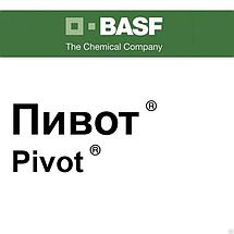 Гербицид Пивот. Универсальный гербицид для уничтожения широкого спектра однолетних и многолетних злаковых., фото 3