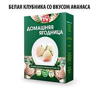 Үйде құлпынай сіруге арналған ғажайып жинақ "Жыл бойы ертегілер бақшасы" ГМО емес (дәмі бар ақ құлпынай