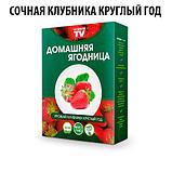 Комплект чудо-грядок для выращивания клубники трёх сортов дома «Сказочный огород круглый год», фото 4