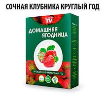 Чудо-набор для выращивания клубники дома «Сказочный огород круглый год» без ГМО (Белая клубника со вкусом, фото 2
