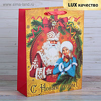 Пакет подарочный "Дед Мороз и Снегурочка", люкс, 18 х 8 х 24 см