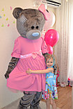 Мишка девочка на день рождения в Павлодаре, фото 4