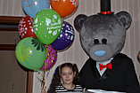 Курьер Тедди в Павлодаре, фото 7