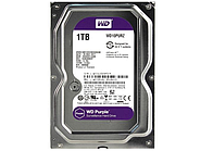 Жесткий диск HDD 1000 Western Digital SATA III (W D10PURZ) (3.5")  Purple