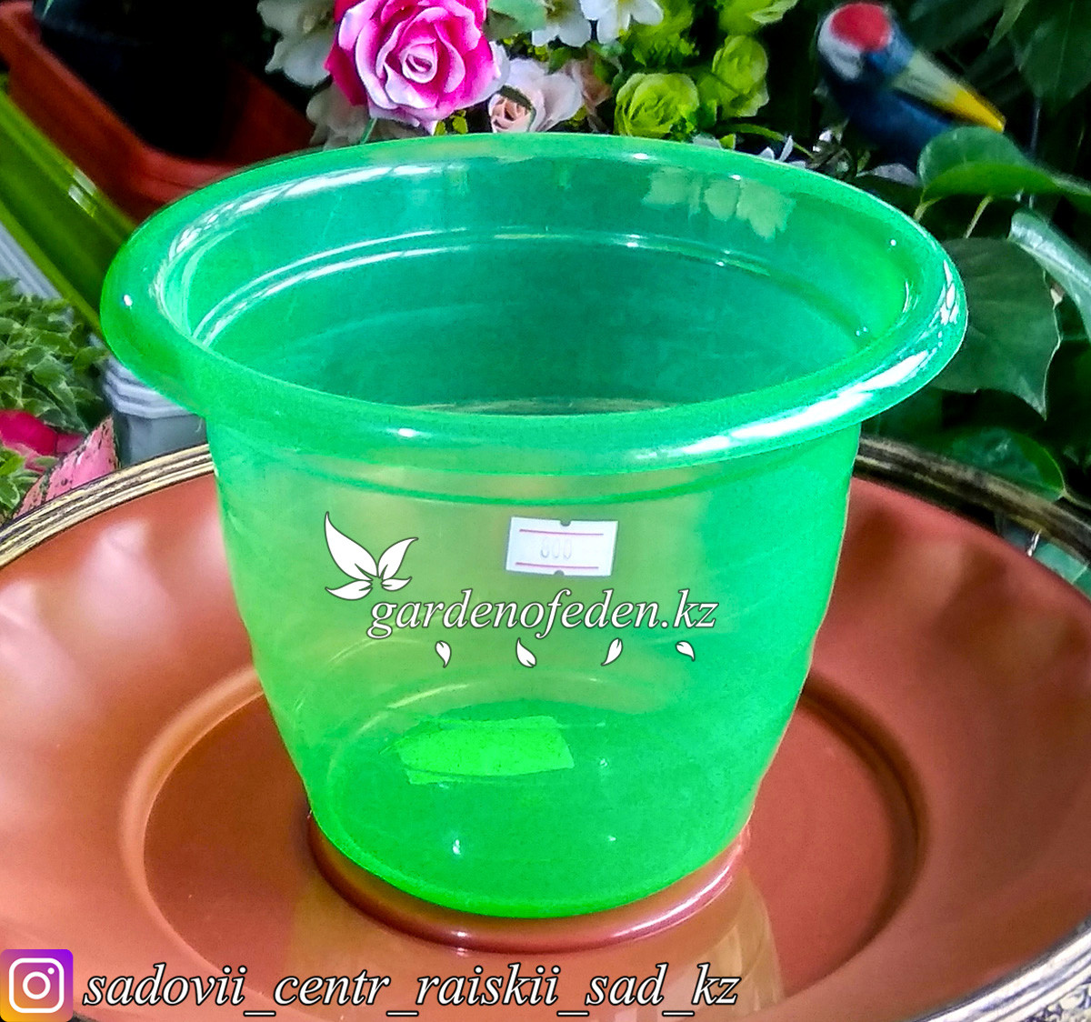 Пластиковый горшок для орхидей. Цвет: зеленый, полу-прозрачный. Объем: 2л. - фото 1 - id-p63319280