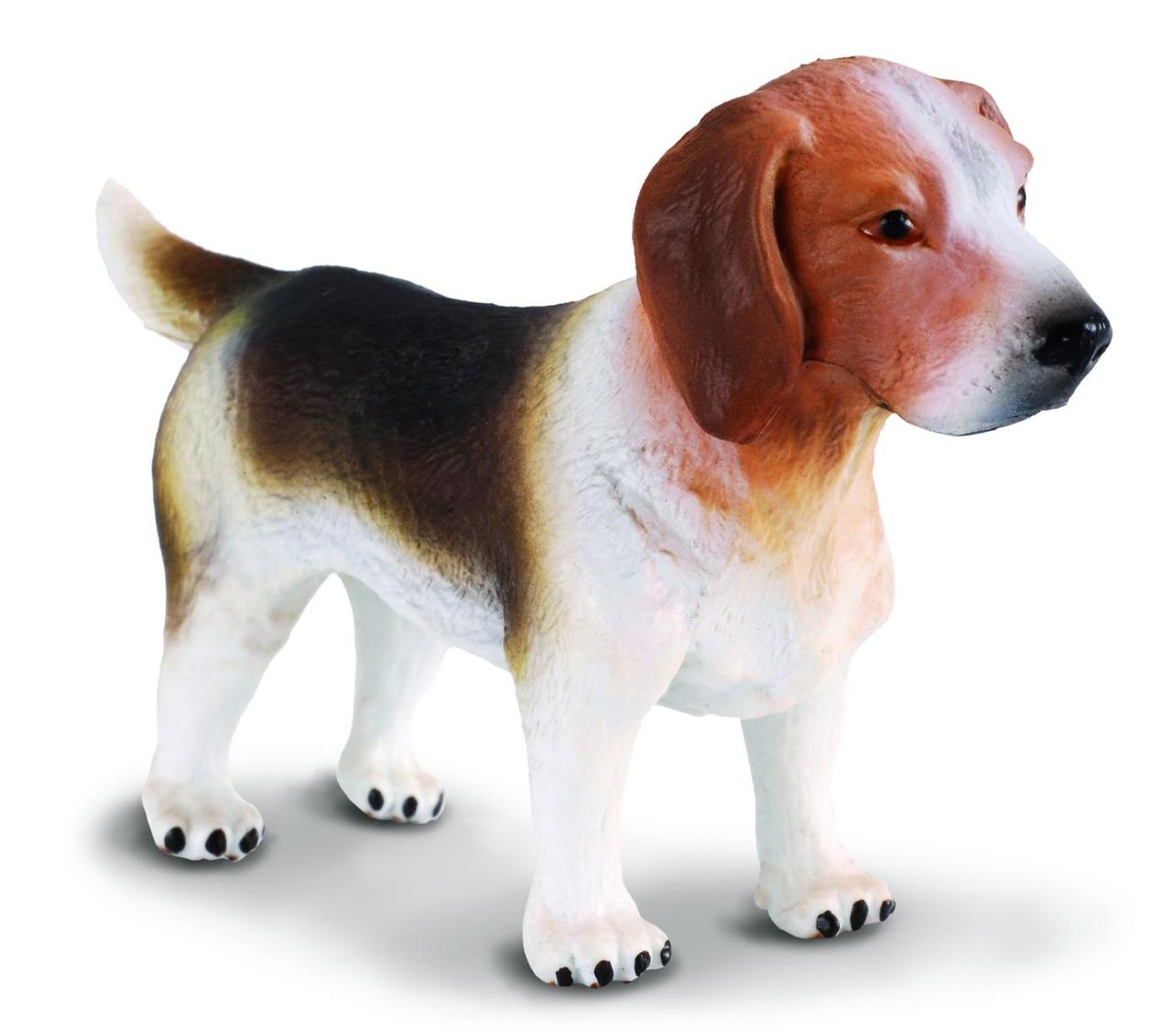 CollectA Фигурка Бигль, 7 см