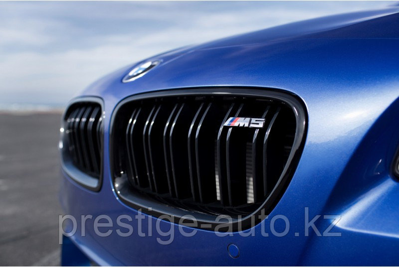 Решетка радиатора на Bmw 5 series F10 M-Performance - фото 1 - id-p4758578