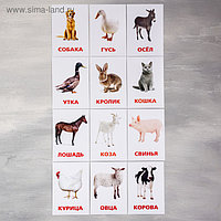 Обучающие карточки по методике Г. Домана "Домашние животные и птицы"