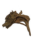 Коряга мангровая, размер L (46-55см)