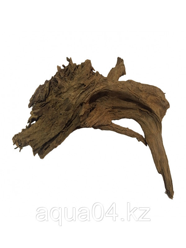Коряга мангровая, размер L (46-55см) - фото 1 - id-p63402589