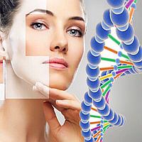 Почему пептид Аматокин важен для стареющей кожи?
