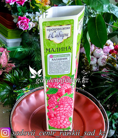 Саженцы малины ремонтантной "Калашник". Резерв: шт., фото 2