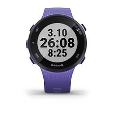 Спортивные часы Garmin FORERUNNER 45S (010-02156-11), фото 2