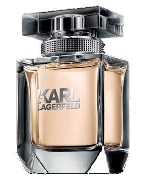 Karl Lagerfeld Karl Lagerfeld Karl Lagerfeld Women (Лагерфельд Карл Лагерфельд) Мини 4,5 ml (edp)