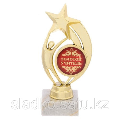 Кубок звезда на камне Золотой учитель диплом в подарок - фото 1 - id-p63544996