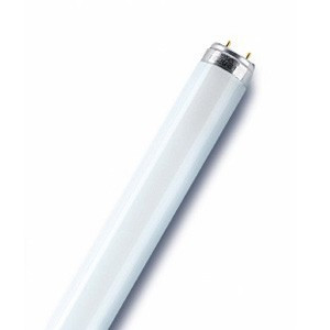 Лампа ЛЛ 18Вт L18W/830 LUMILUX T8 G13 теплая-белая (Германия)  4050300517810 OSRAM